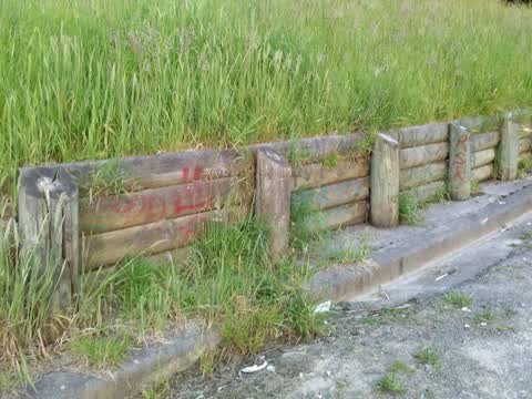 Graffiti — a report photo