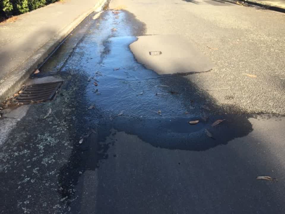 The photograph attached to this roading/streets report