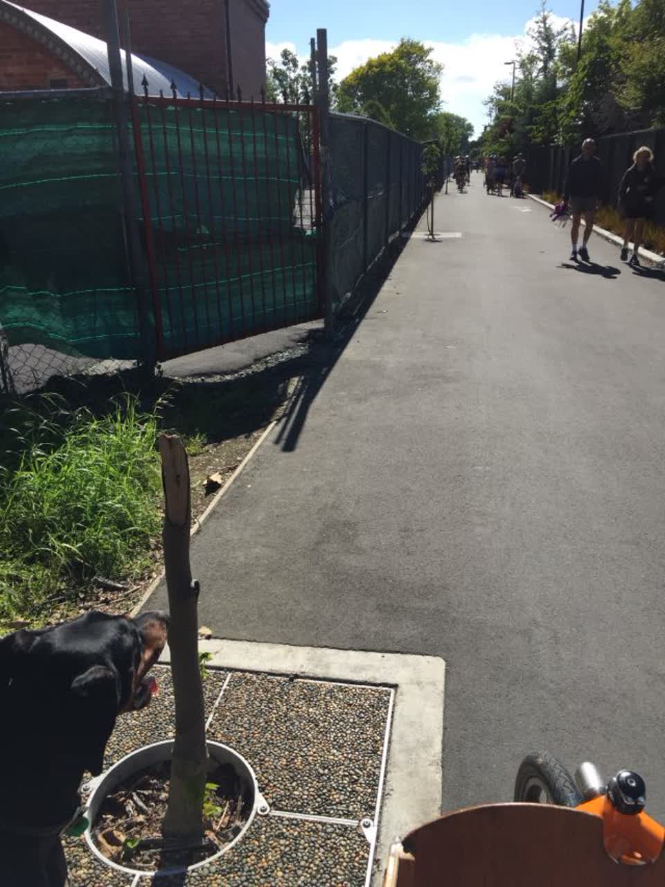 The photograph attached to this parks report