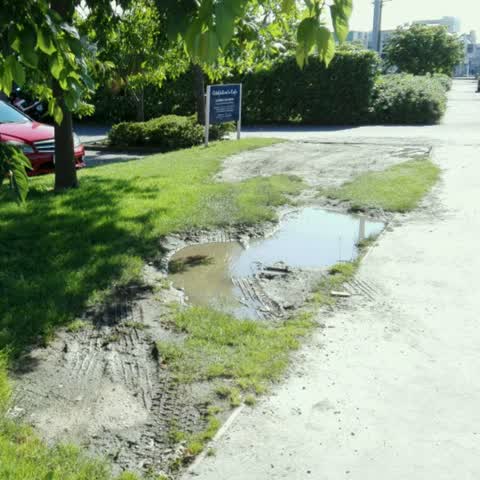 Roading/Streets, a report photo