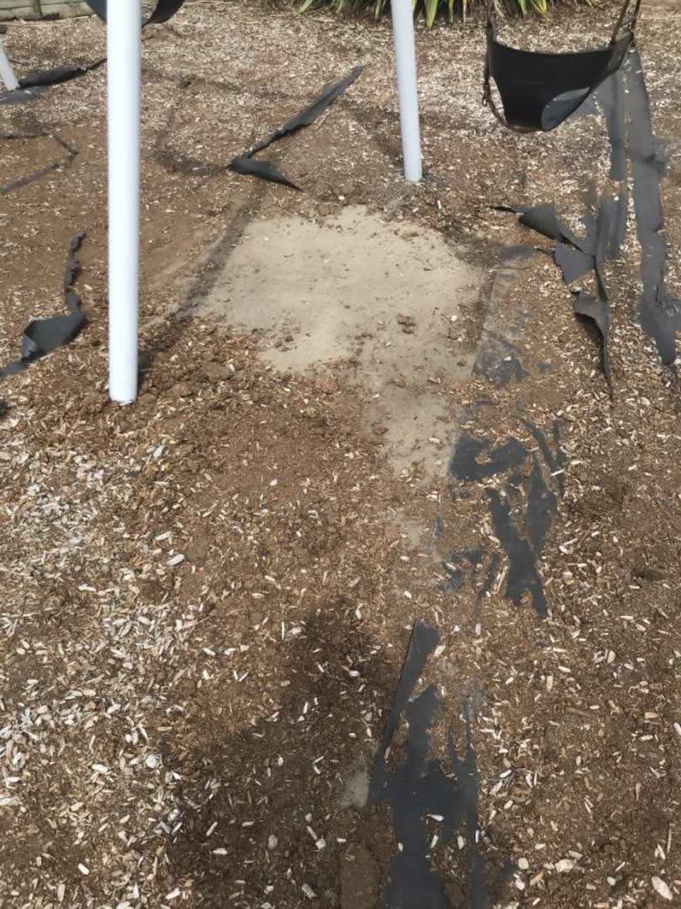The photograph attached to this parks report