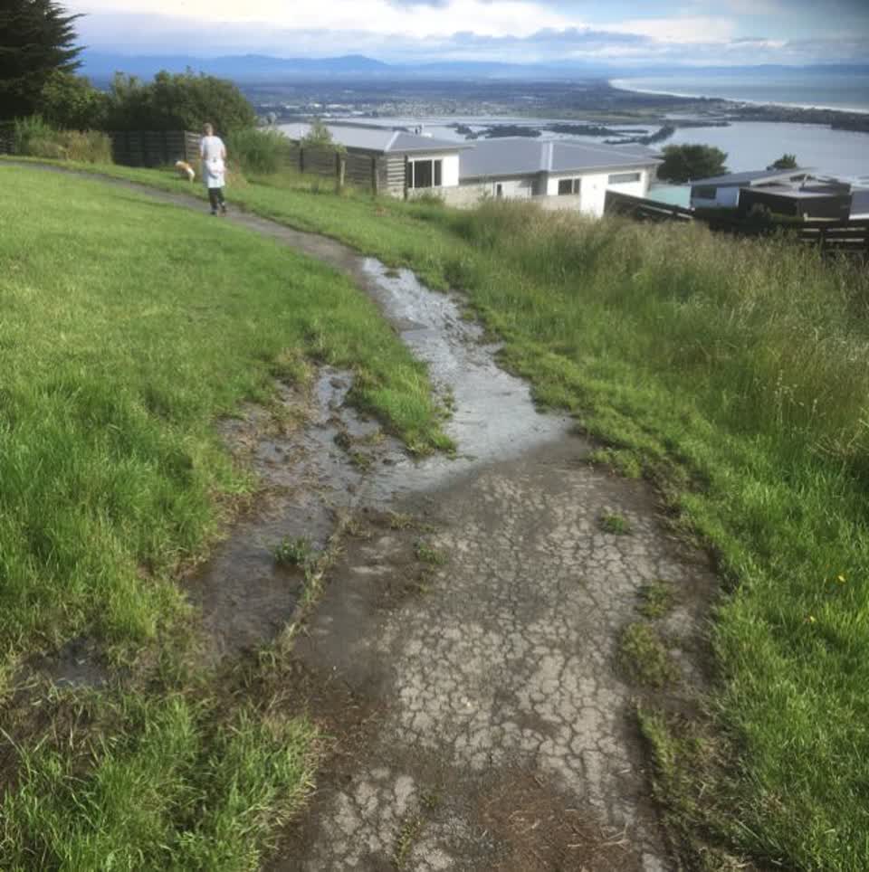The photograph attached to this parks report