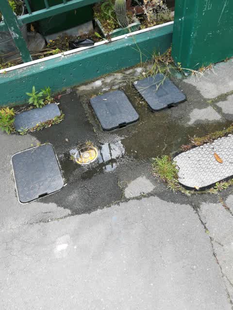 Water Supply, a report photo