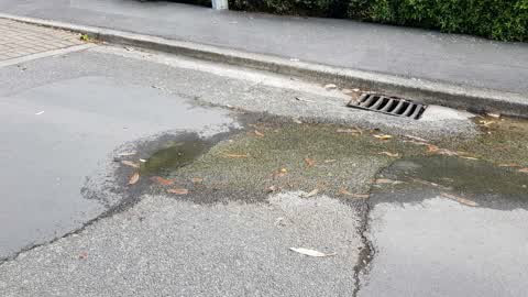 Wastewater/Stormwater, a report photo