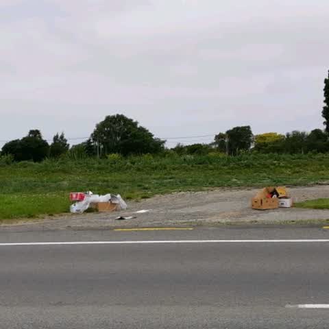 Rubbish/Recycling — a report photo
