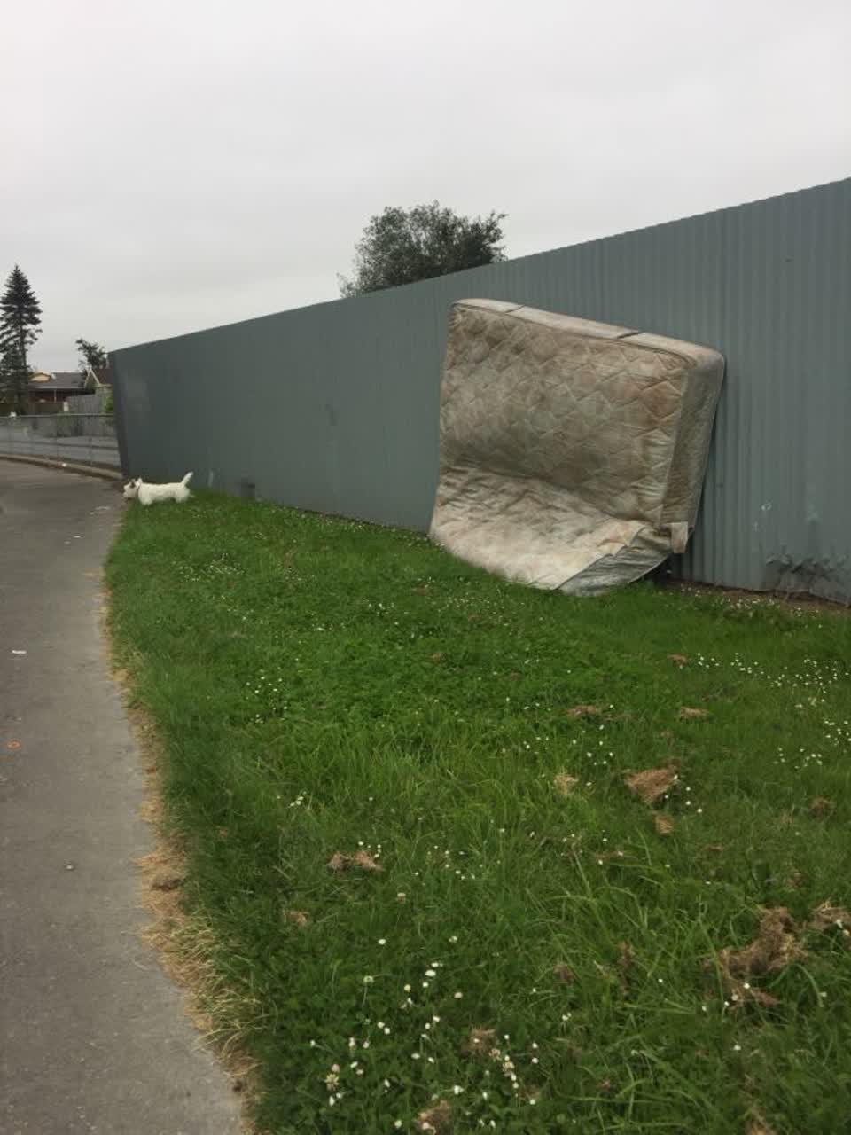 The photograph attached to this rubbish/recycling report