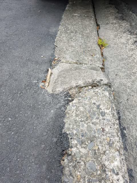 Roading/Streets, a report photo