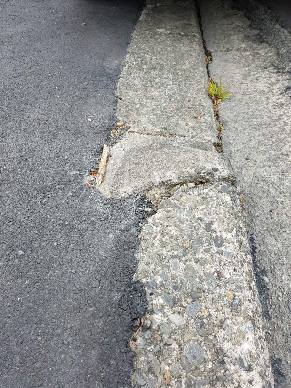 The photograph attached to this roading/streets report