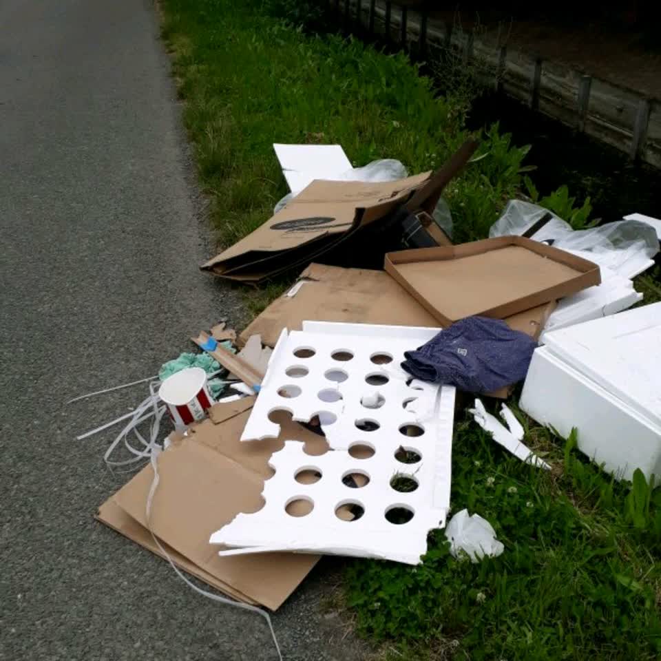 The photograph attached to this rubbish/recycling report
