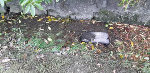Water Supply, a report photo