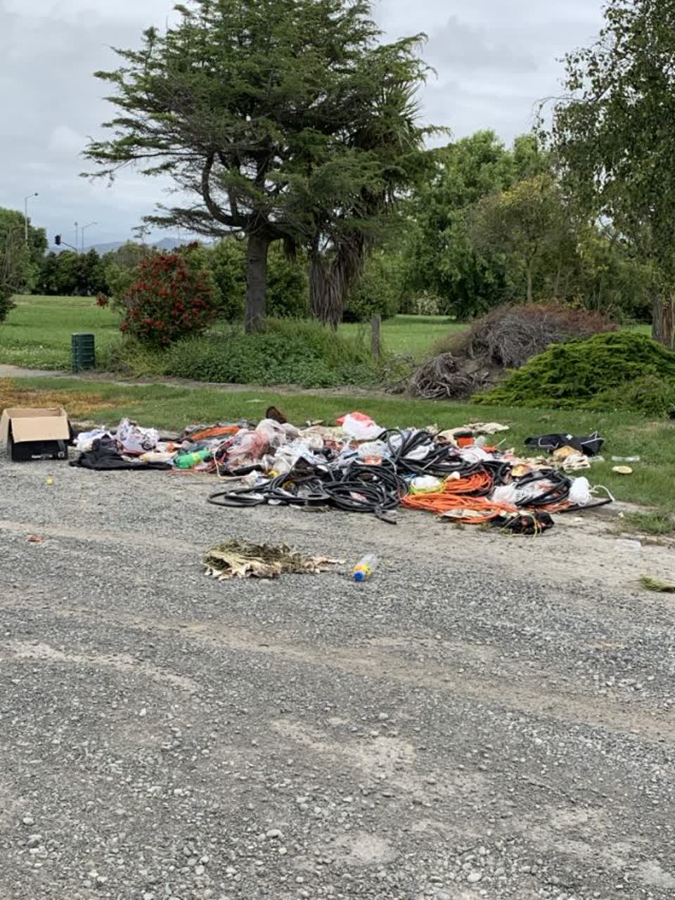 The photograph attached to this rubbish/recycling report