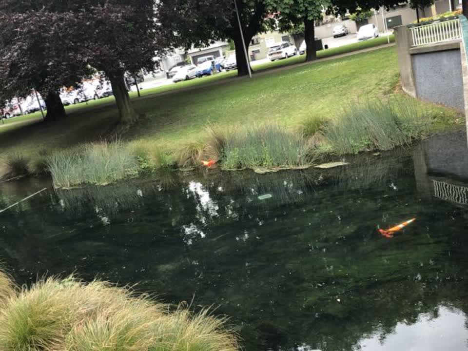 The photograph attached to this wastewater/stormwater report