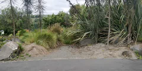 Parks, a report photo