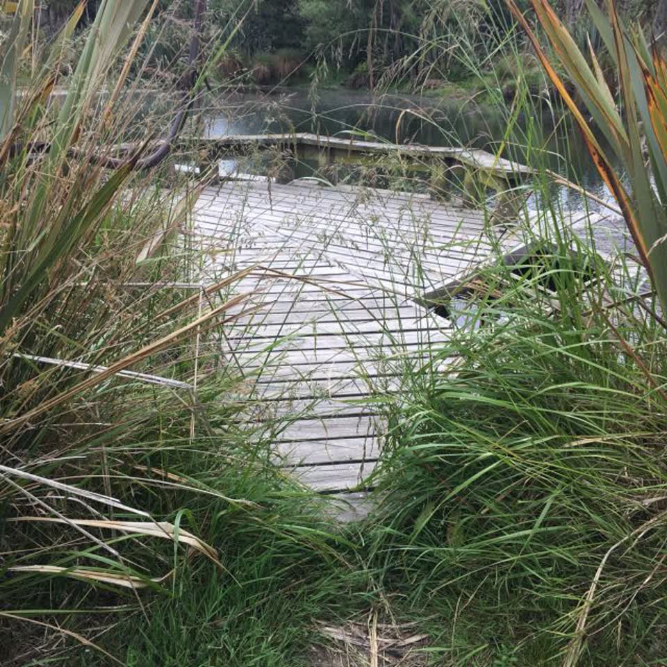 The photograph attached to this parks report