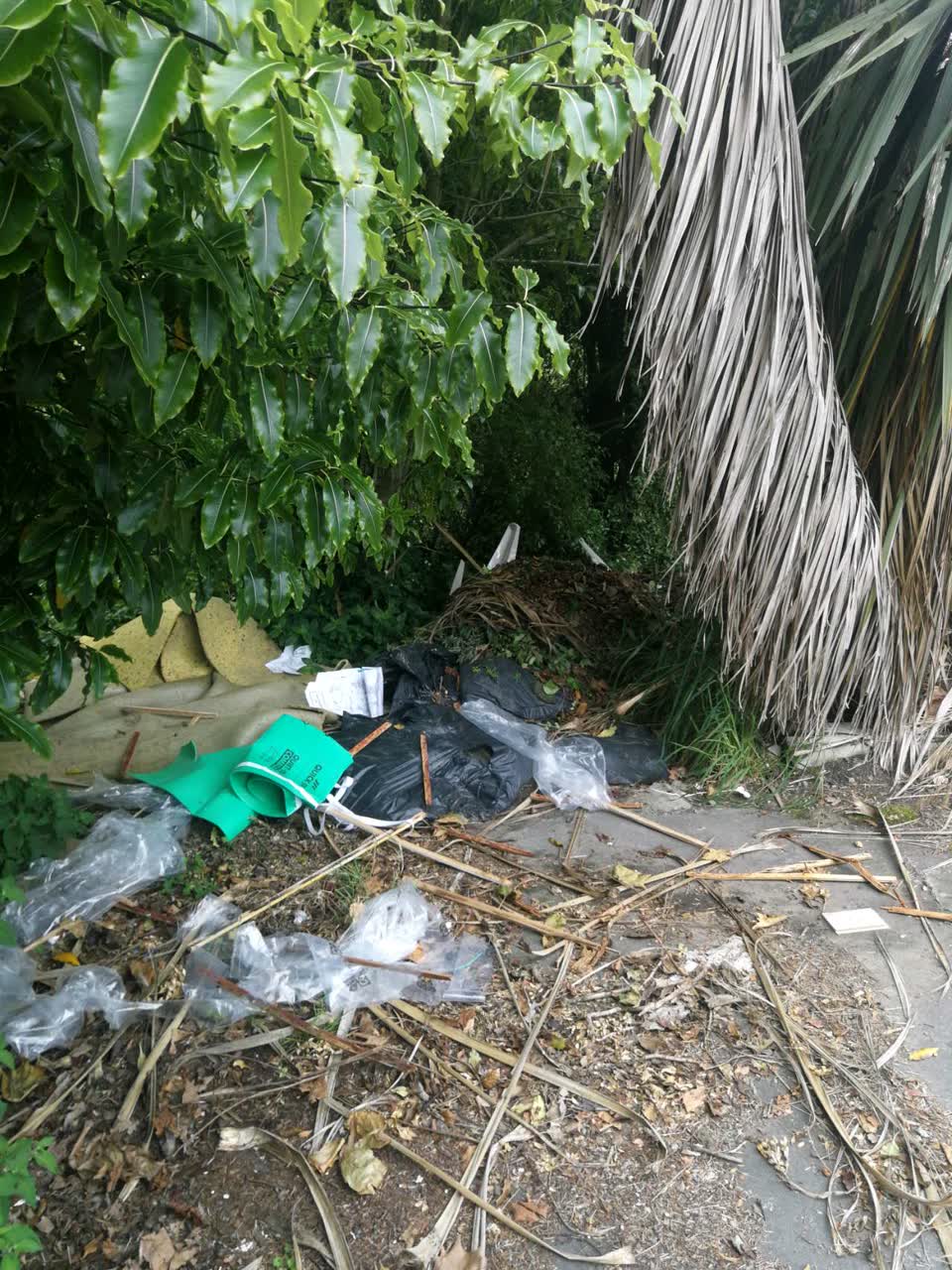 The photograph attached to this rubbish/recycling report