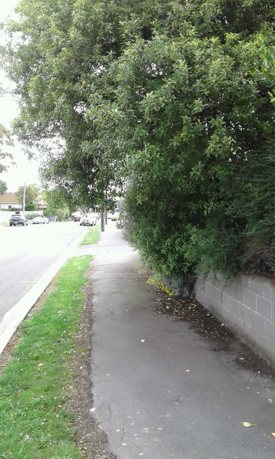 The photograph attached to this roading/streets report