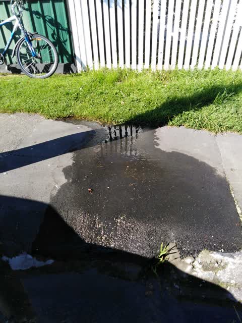 Water Supply, a report photo