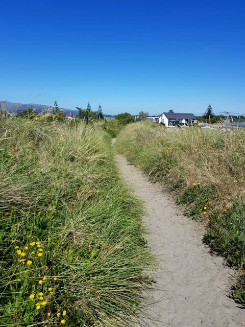 Parks, a report photo