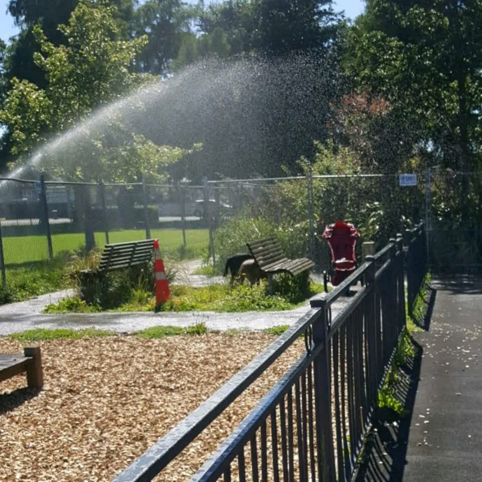 The photograph attached to this parks report