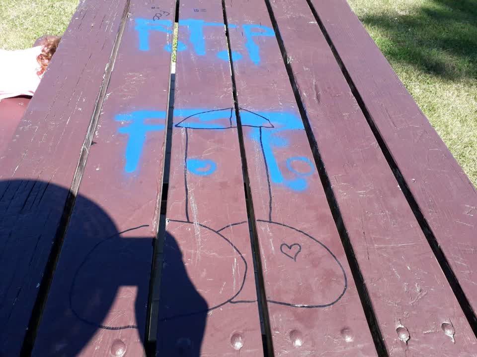 The photograph attached to this graffiti report