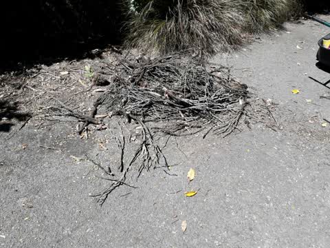 Parks — a report photo