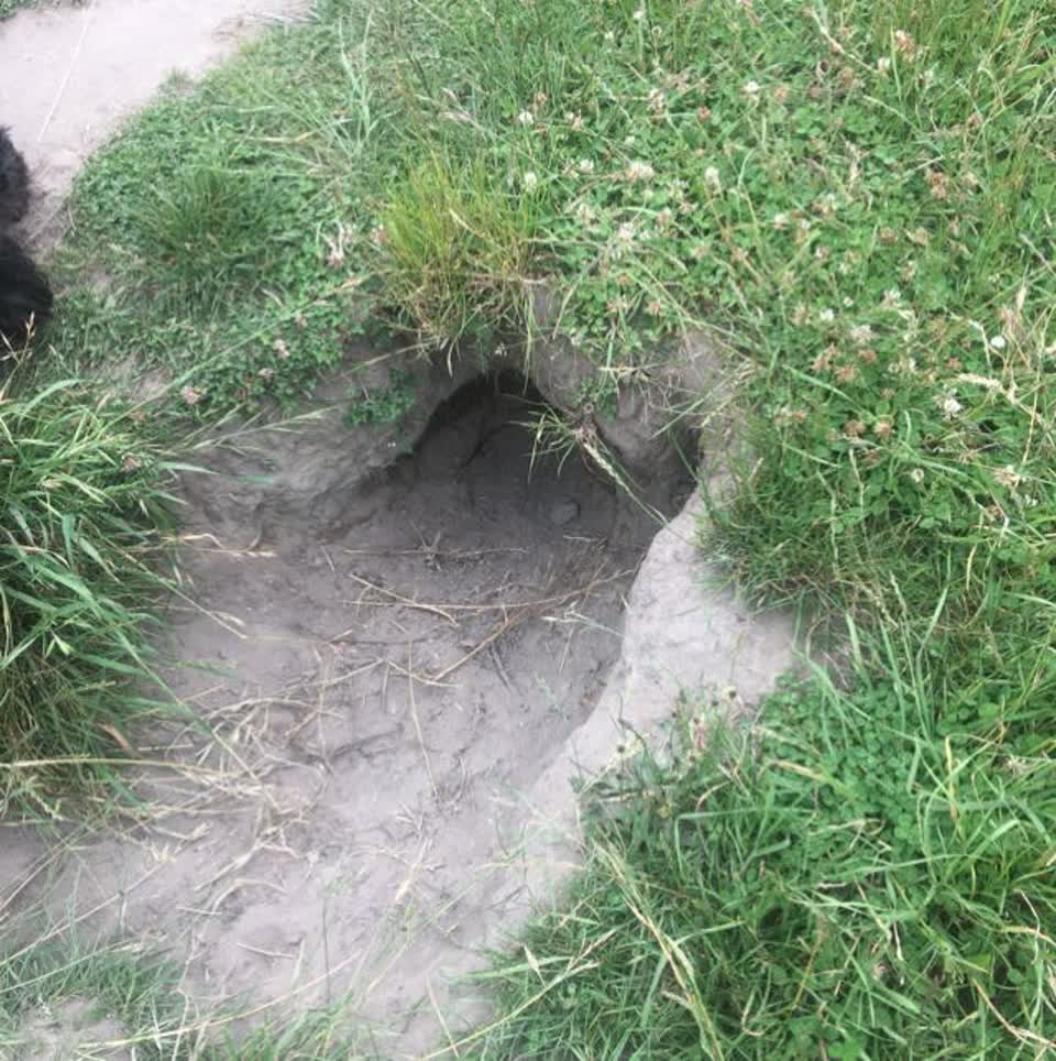 The photograph attached to this parks report