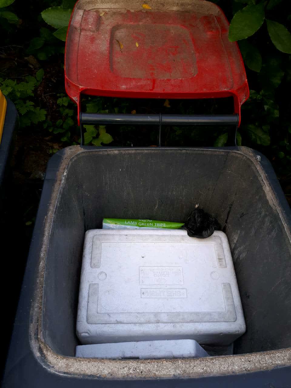 The photograph attached to this rubbish/recycling report