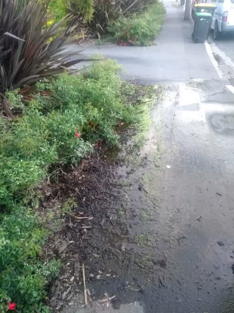 Flooding, a report photo