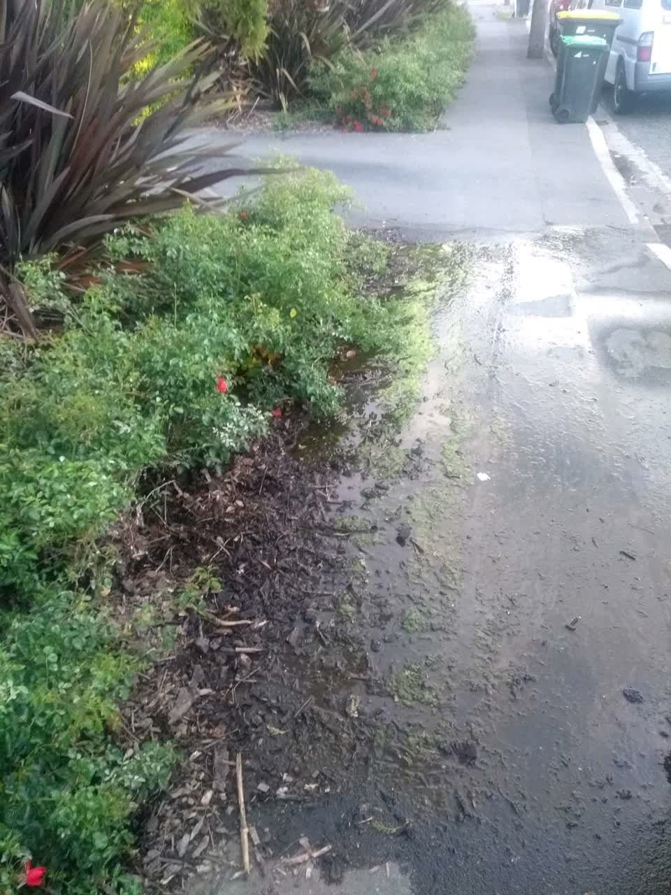The photograph attached to this flooding report