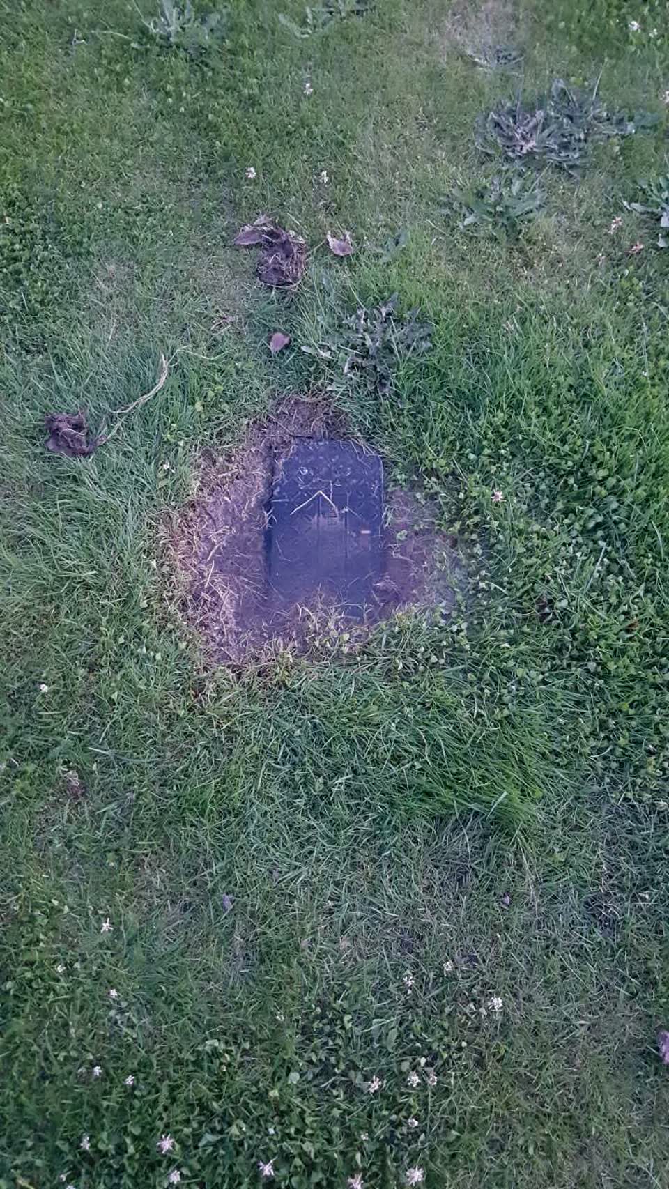 The photograph attached to this water supply report