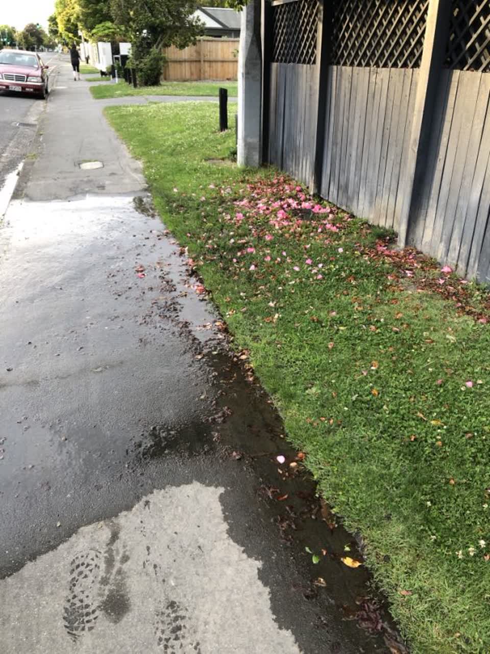 The photograph attached to this water supply report