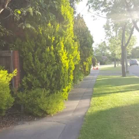 Roading/Streets, a report photo
