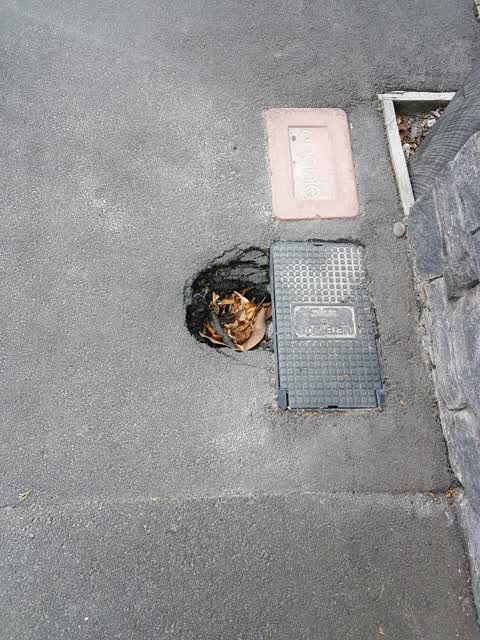 Roading/Streets, a report photo
