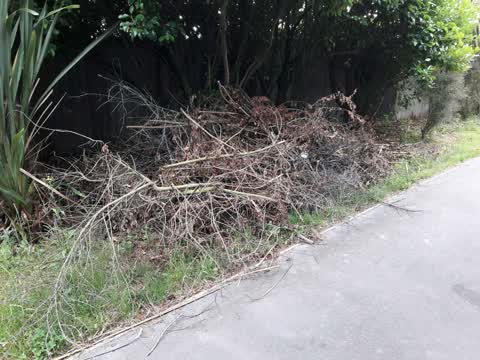 Parks, a report photo