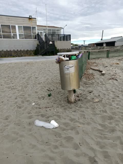 Rubbish/Recycling, a report photo
