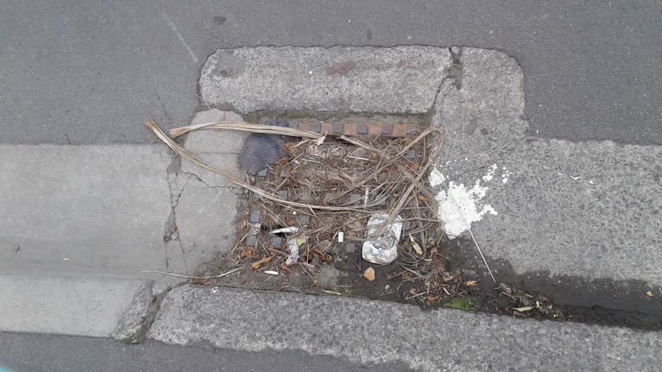 The photograph attached to this wastewater/stormwater report