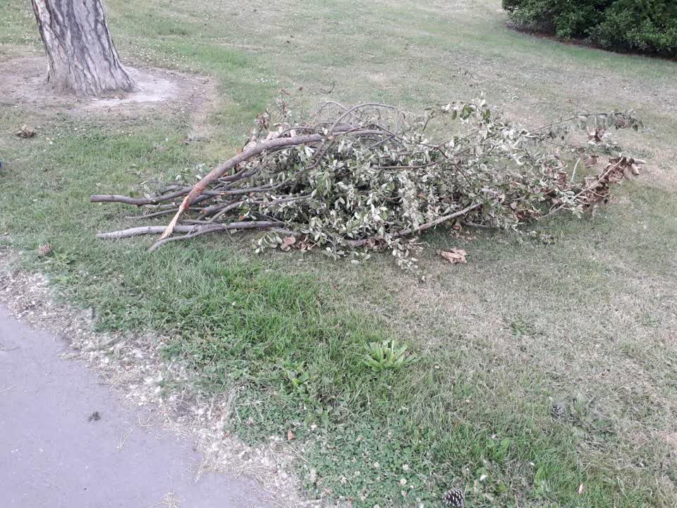 The photograph attached to this parks report