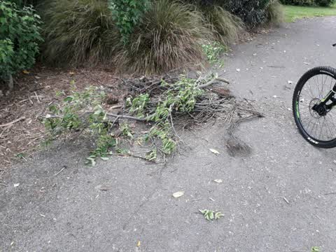 Parks — a report photo