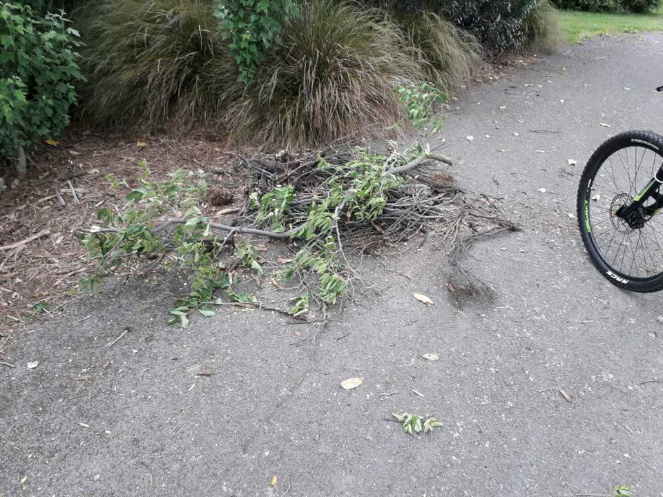 The photograph attached to this parks report