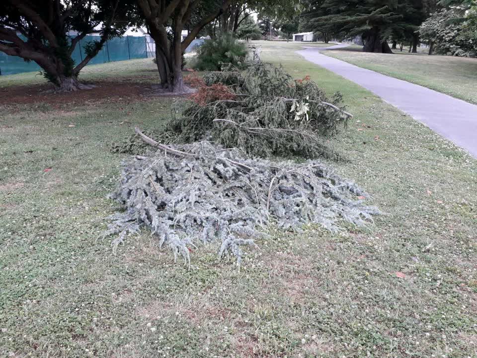 The photograph attached to this parks report