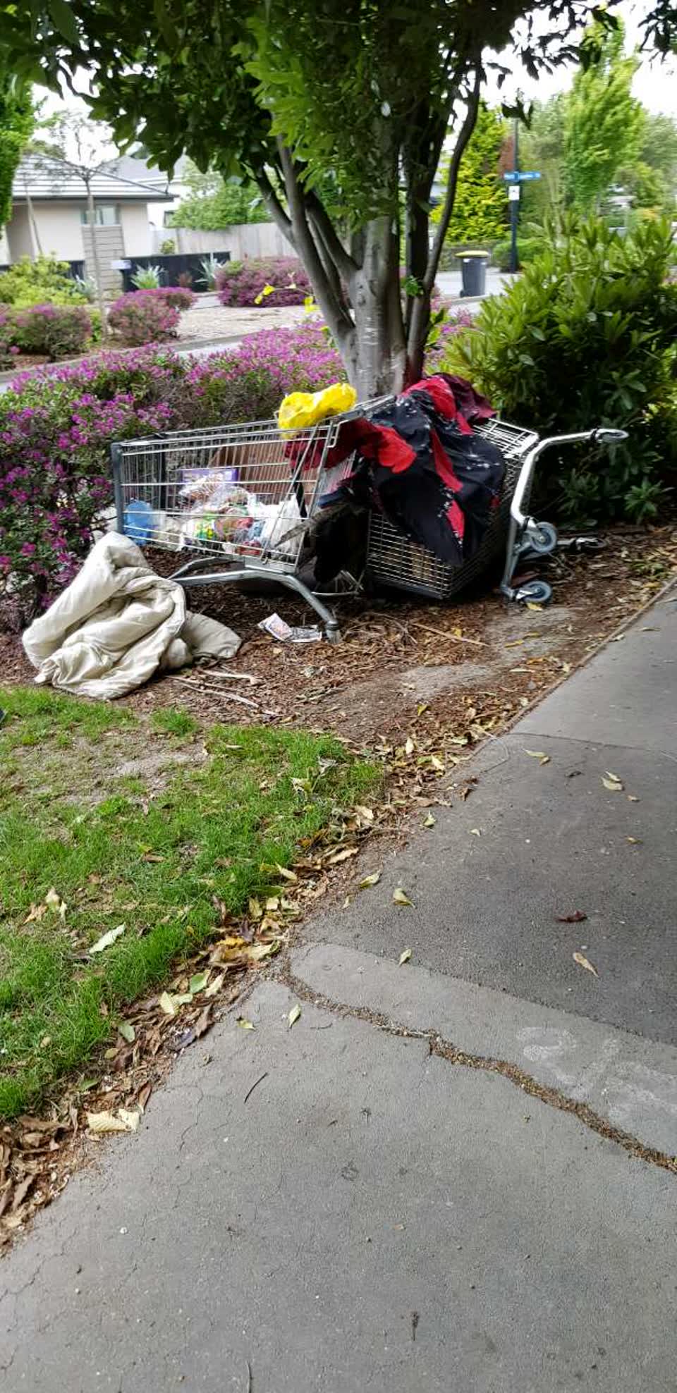 The photograph attached to this rubbish/recycling report