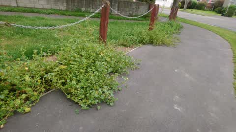 Parks, a report photo