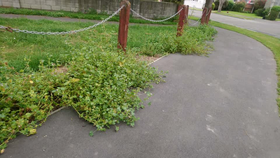 The photograph attached to this parks report