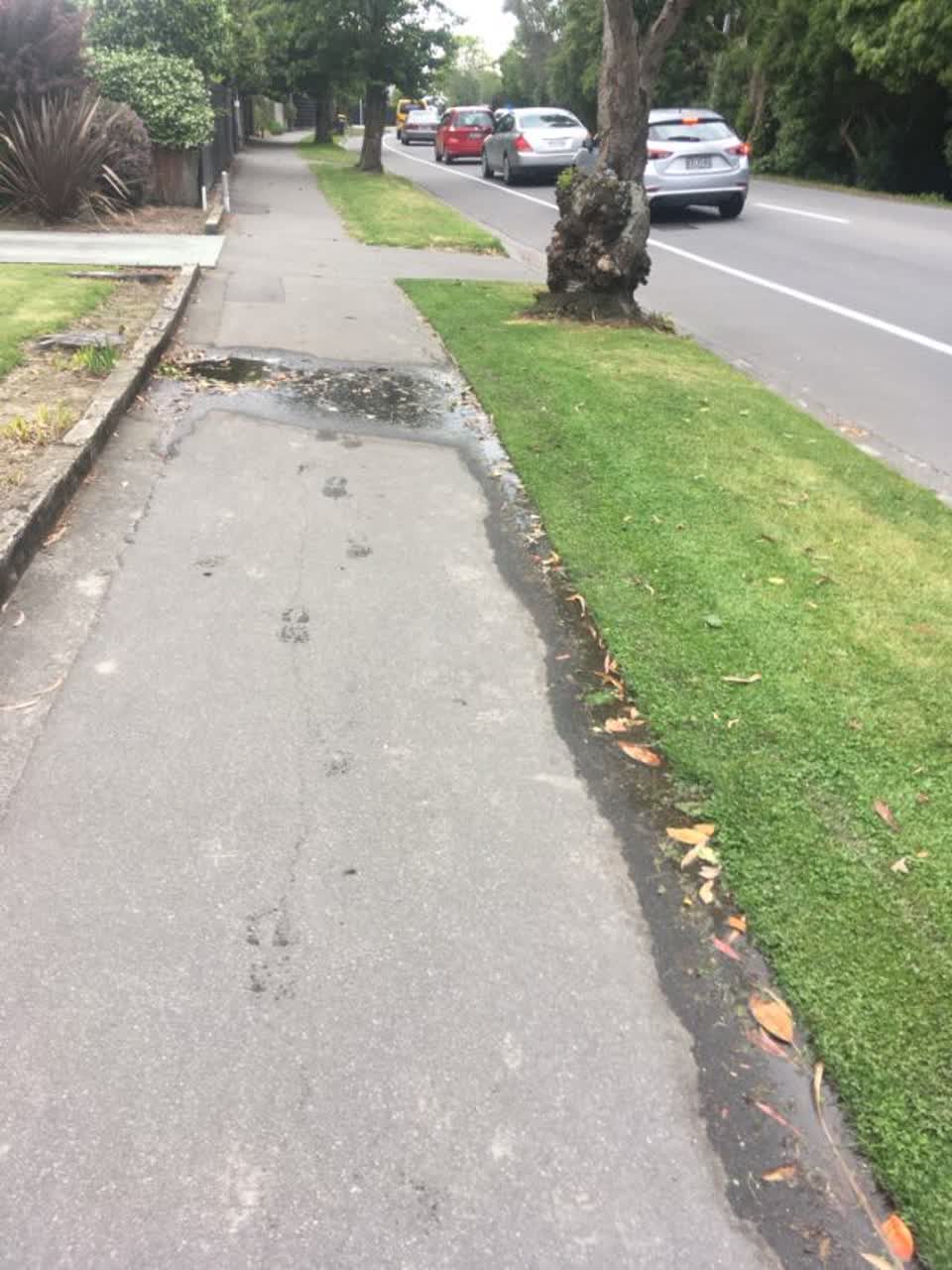 The photograph attached to this water supply report