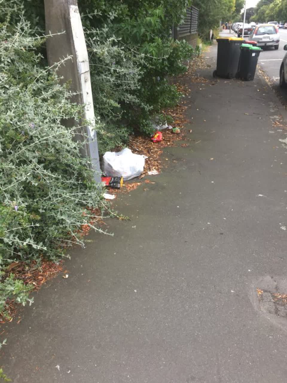The photograph attached to this rubbish/recycling report