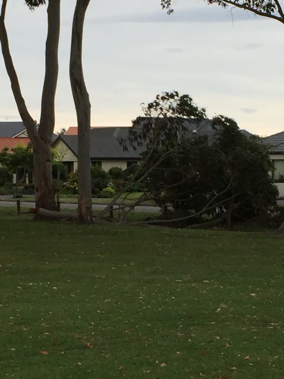 The photograph attached to this parks report