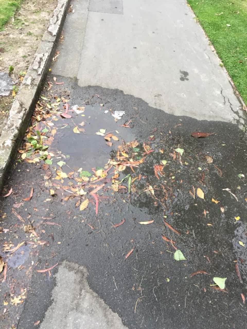 The photograph attached to this water supply report