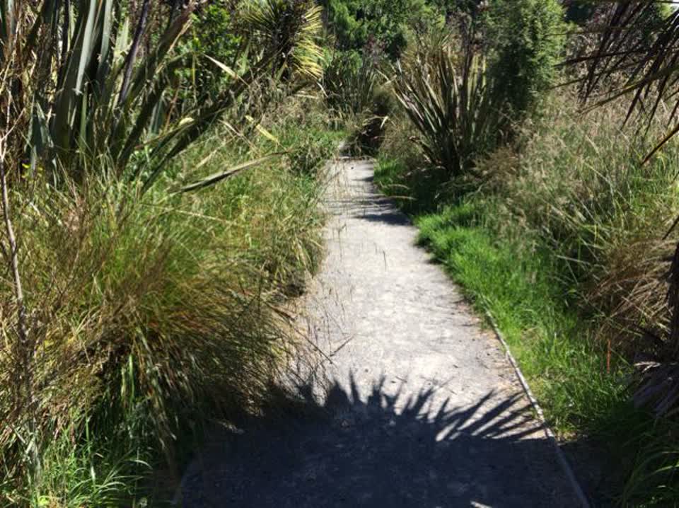 The photograph attached to this parks report