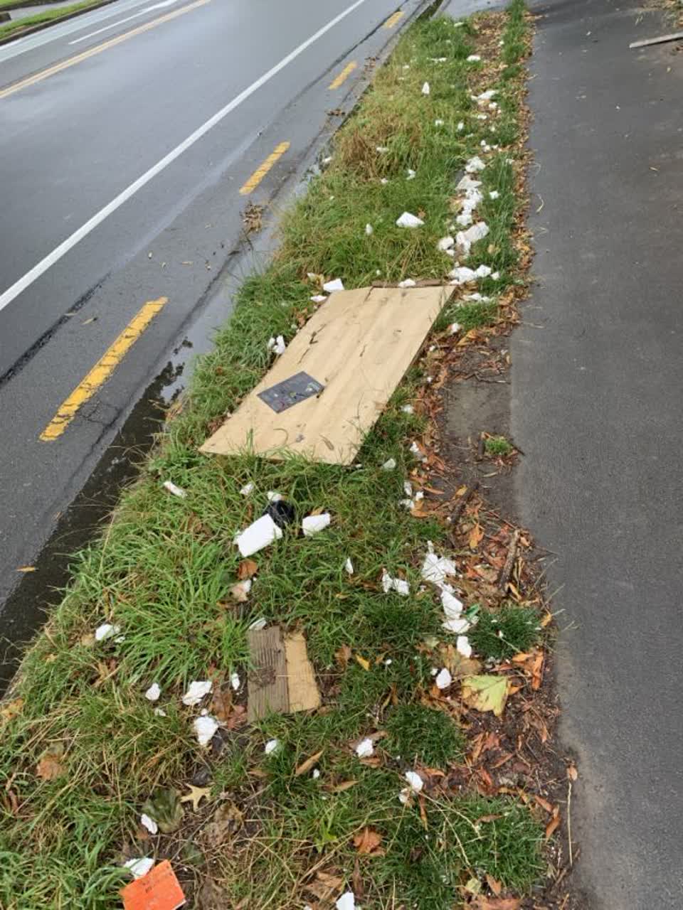 The photograph attached to this rubbish/recycling report