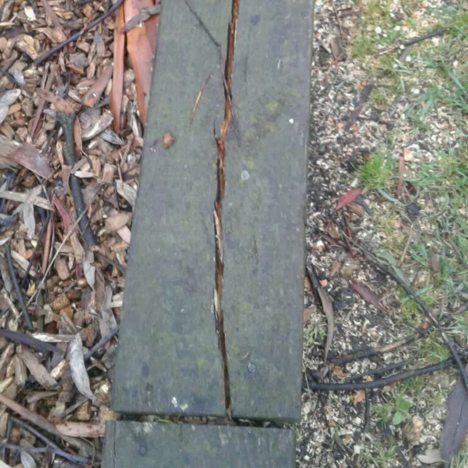 The photograph attached to this parks report